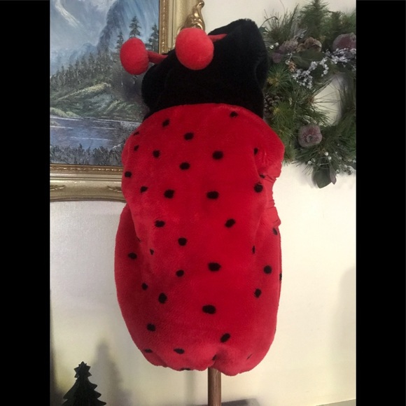 1999 Lady Bug Costume 12-24 Months FINAL SALE - Picture 5 of 8